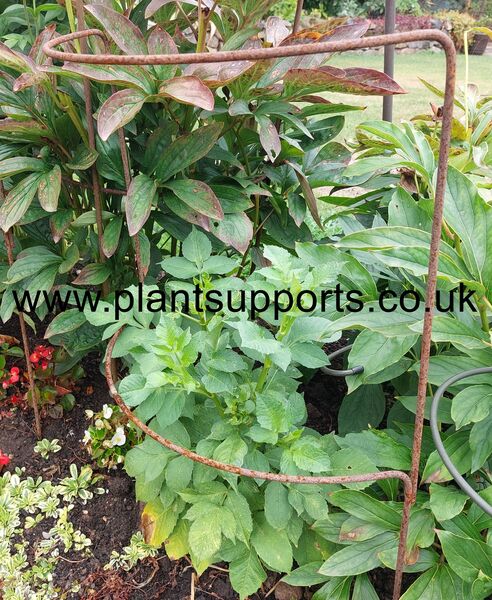 Double Arc pack of 3 41cm x 74cm high A0005D