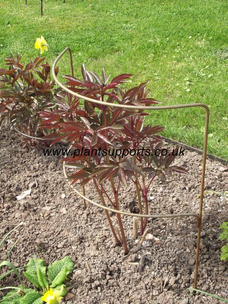 Double Arc pack of 3 41cm x 74cm high A0005D