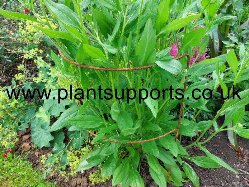 Double Arc pack of 3 41cm x 74cm high A0005D