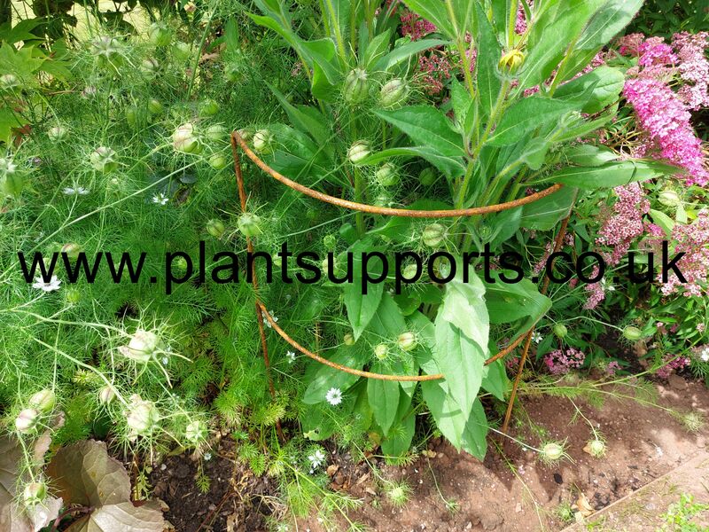 Double Arc pack of 3 41cm x 74cm high A0005D