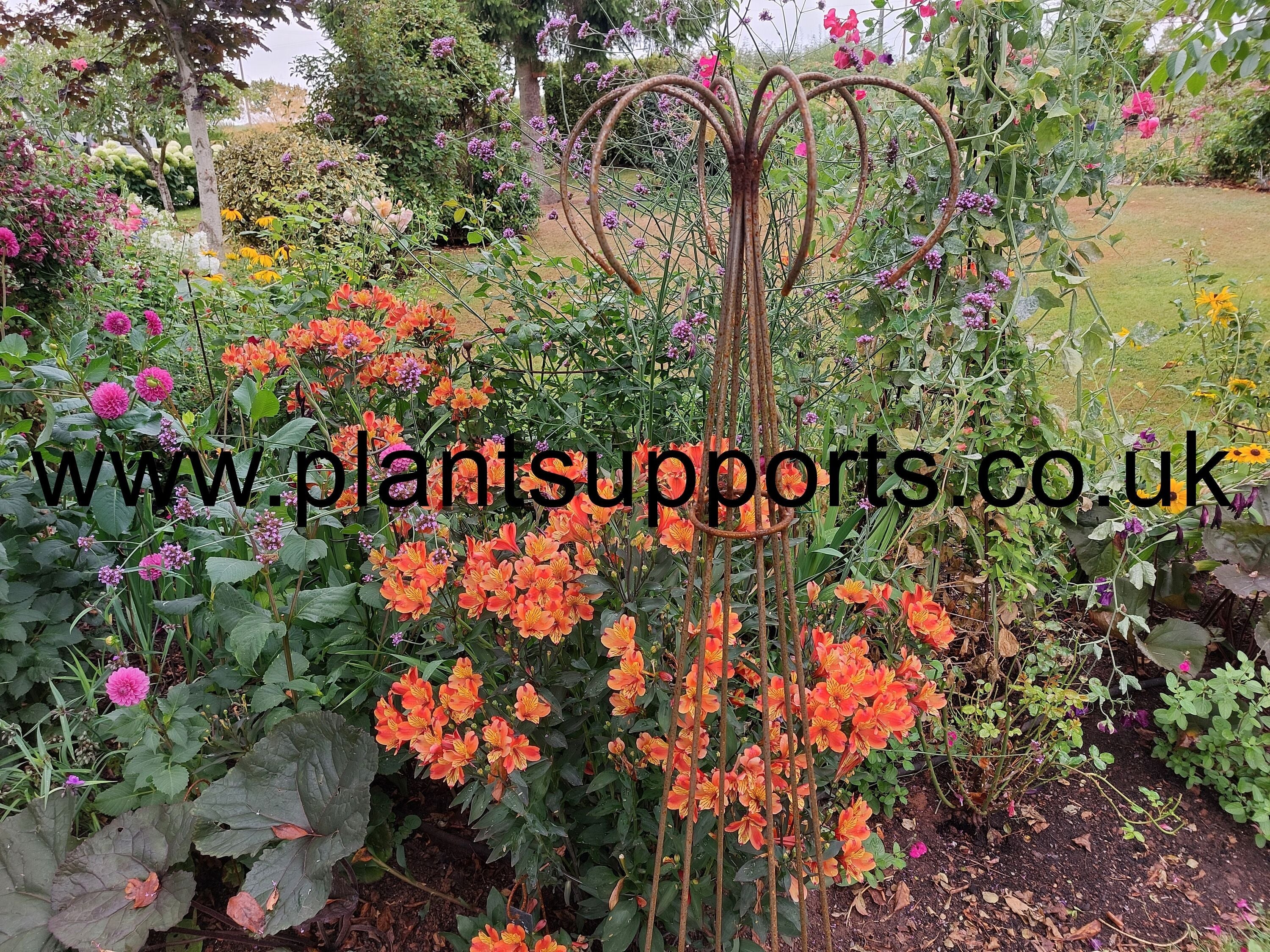 Lazy Gardeners