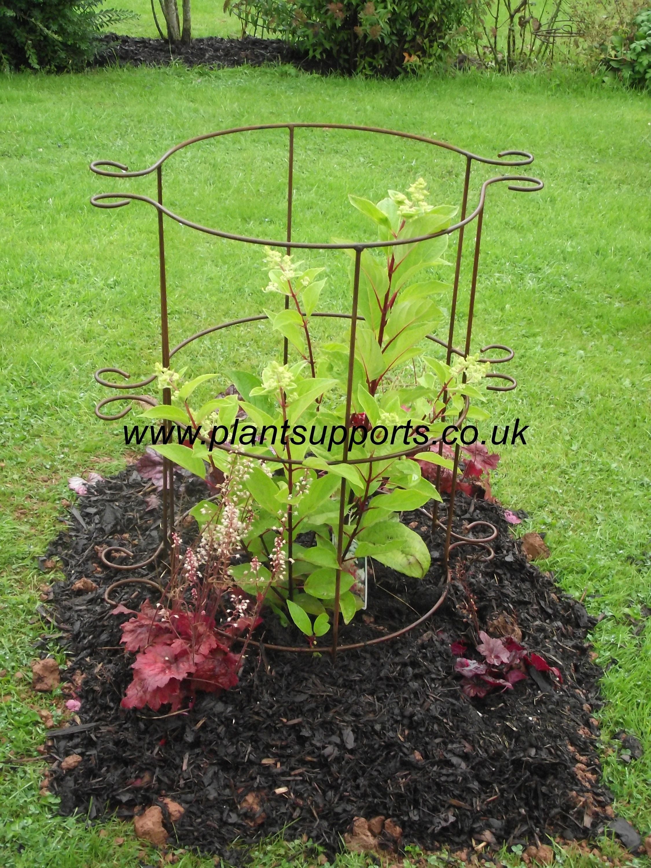 Plant Girdle