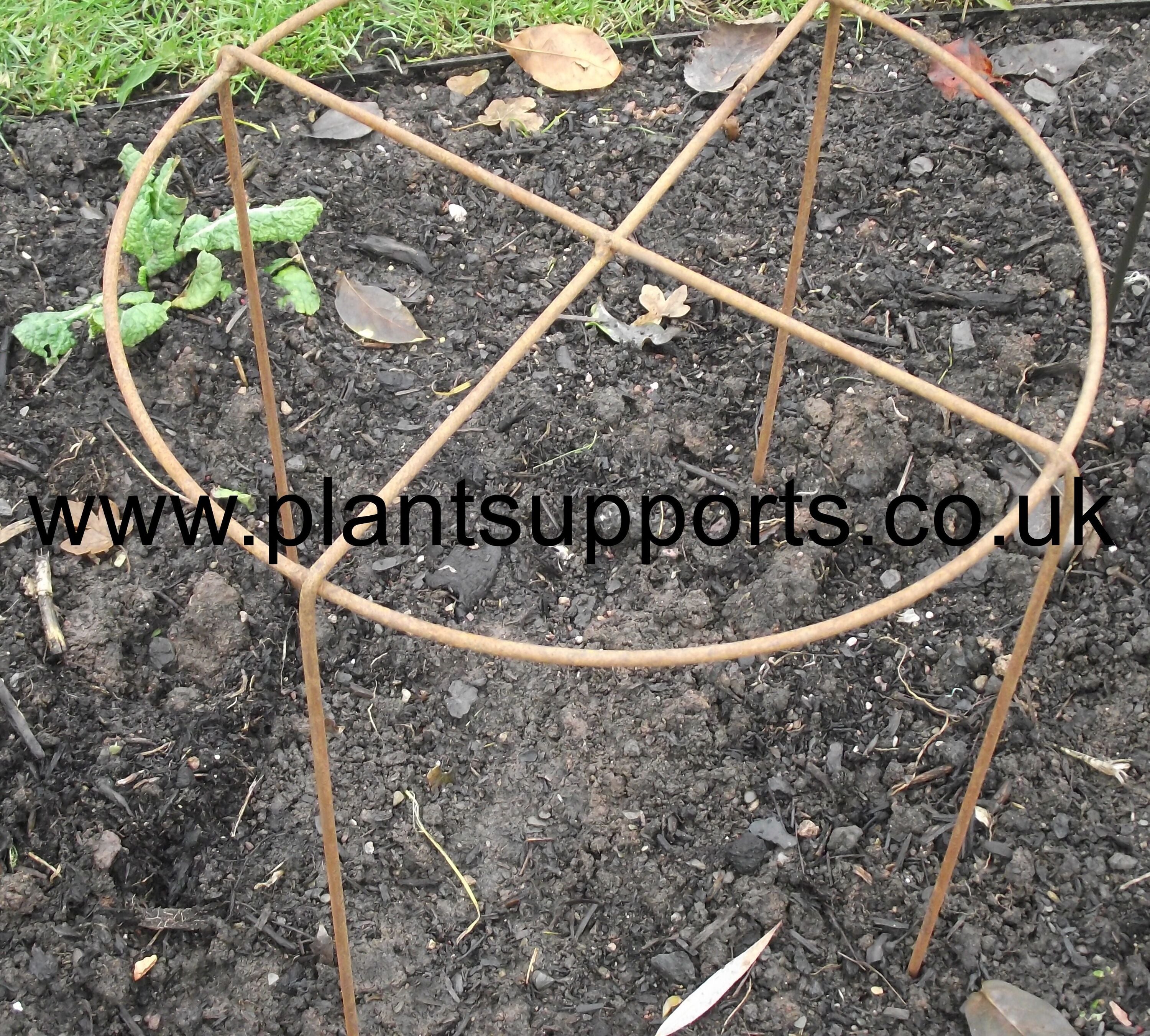Grow Through's – Plant Supports (UK) Ltd