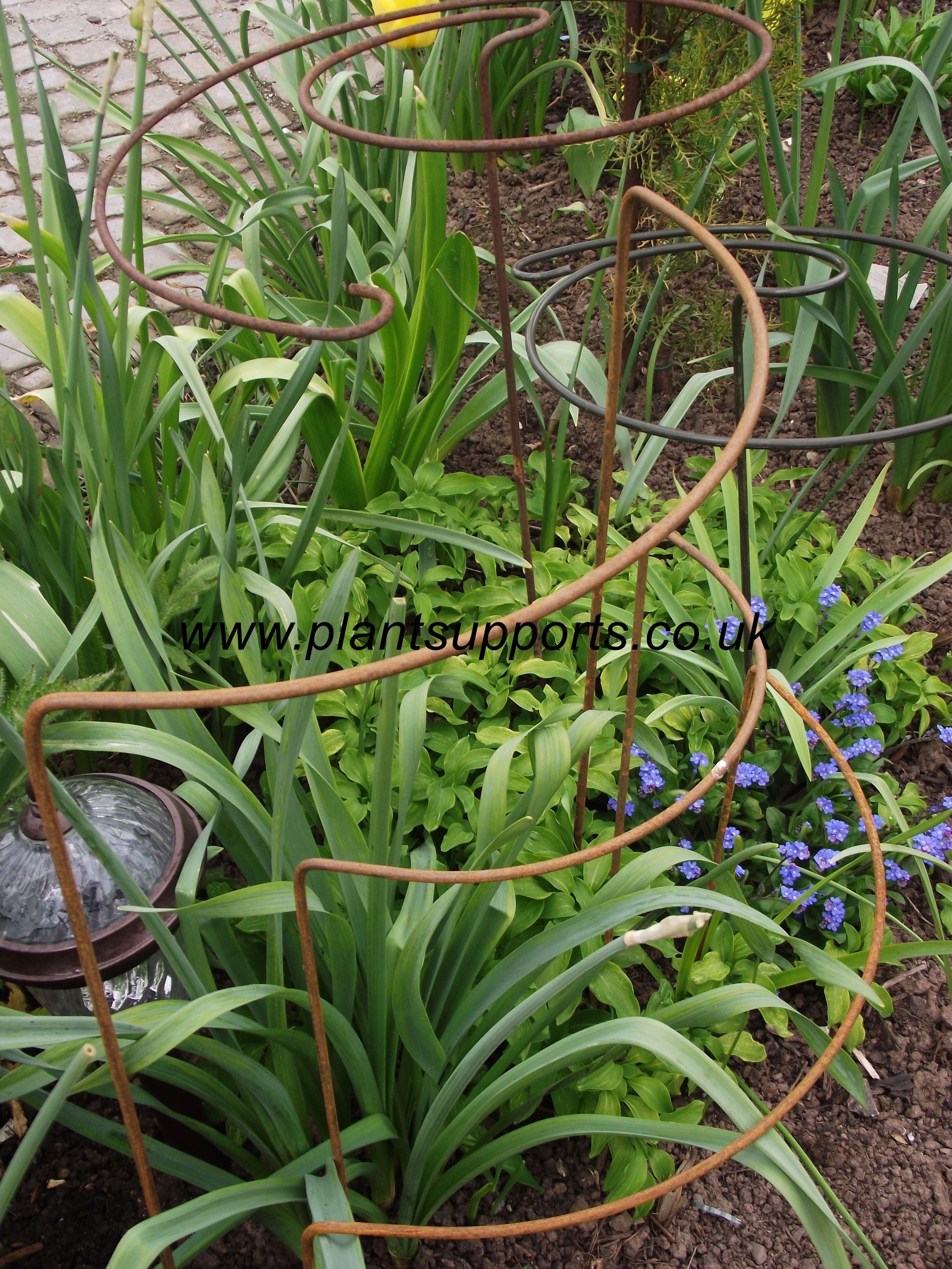 Herbaceous Border Plant Support Pack 0001