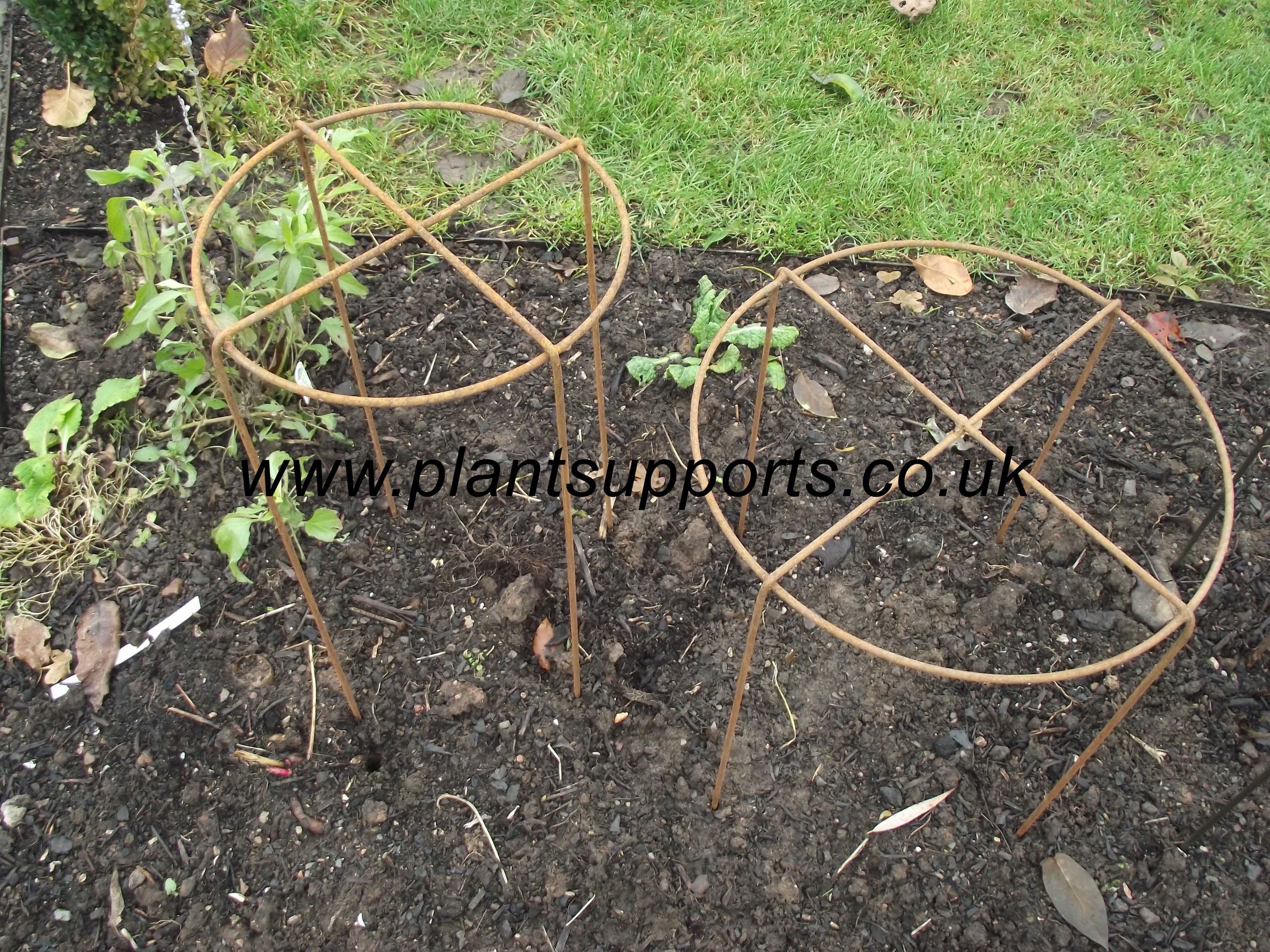 Grow Through (fixed leg) Pack of 10, 2 sizes 0005
