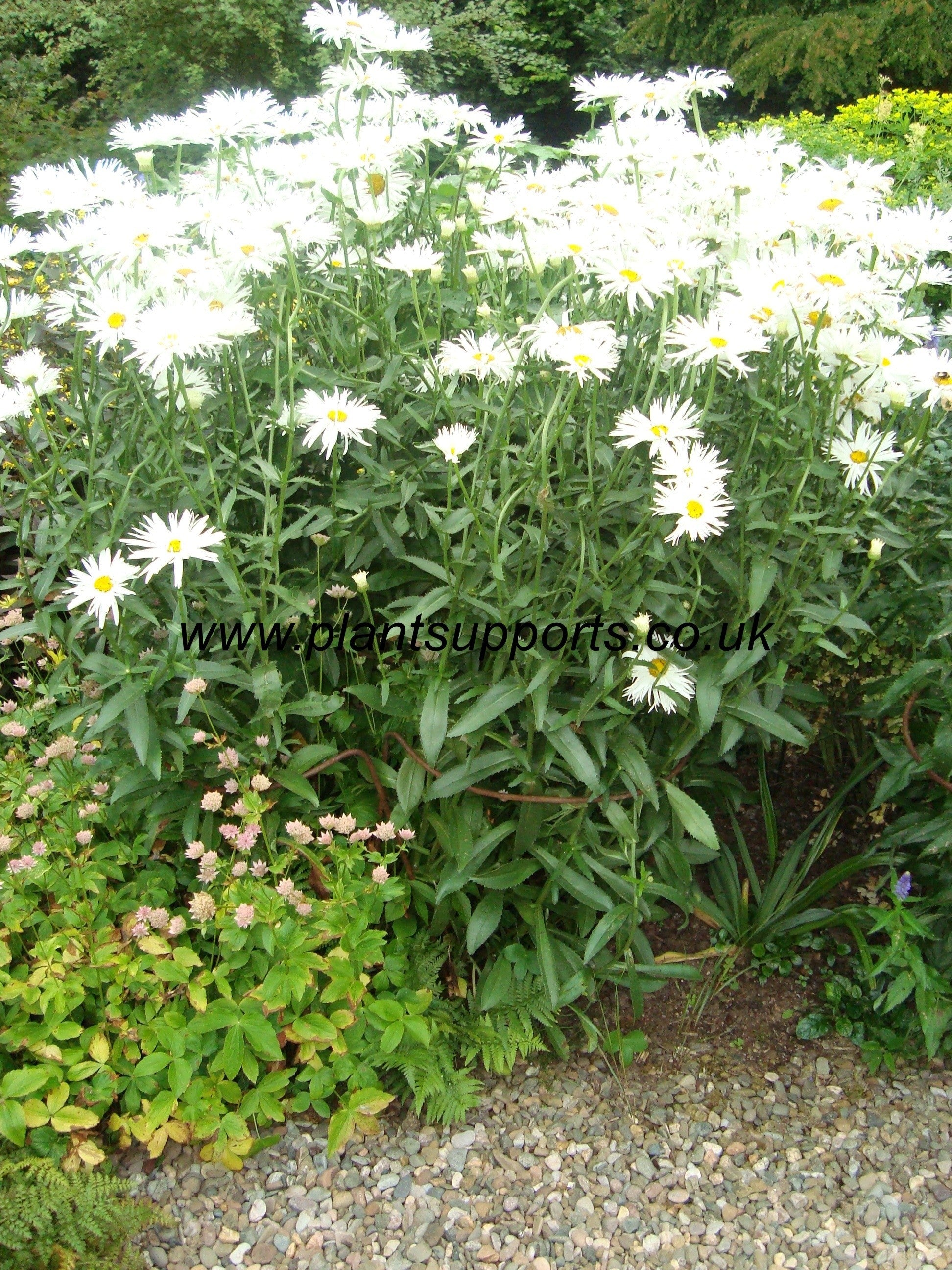 Arc pack of 4 42cm x 74cm A0005