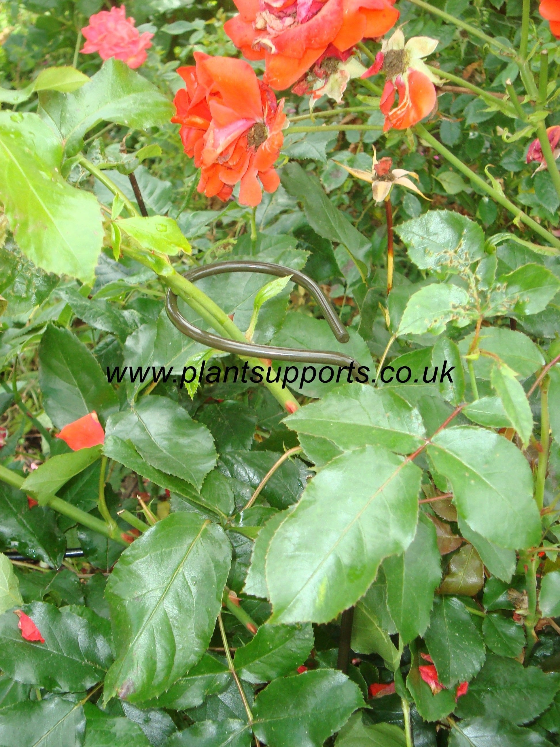 Loop 10cm x 75cm pack of 4 A0007