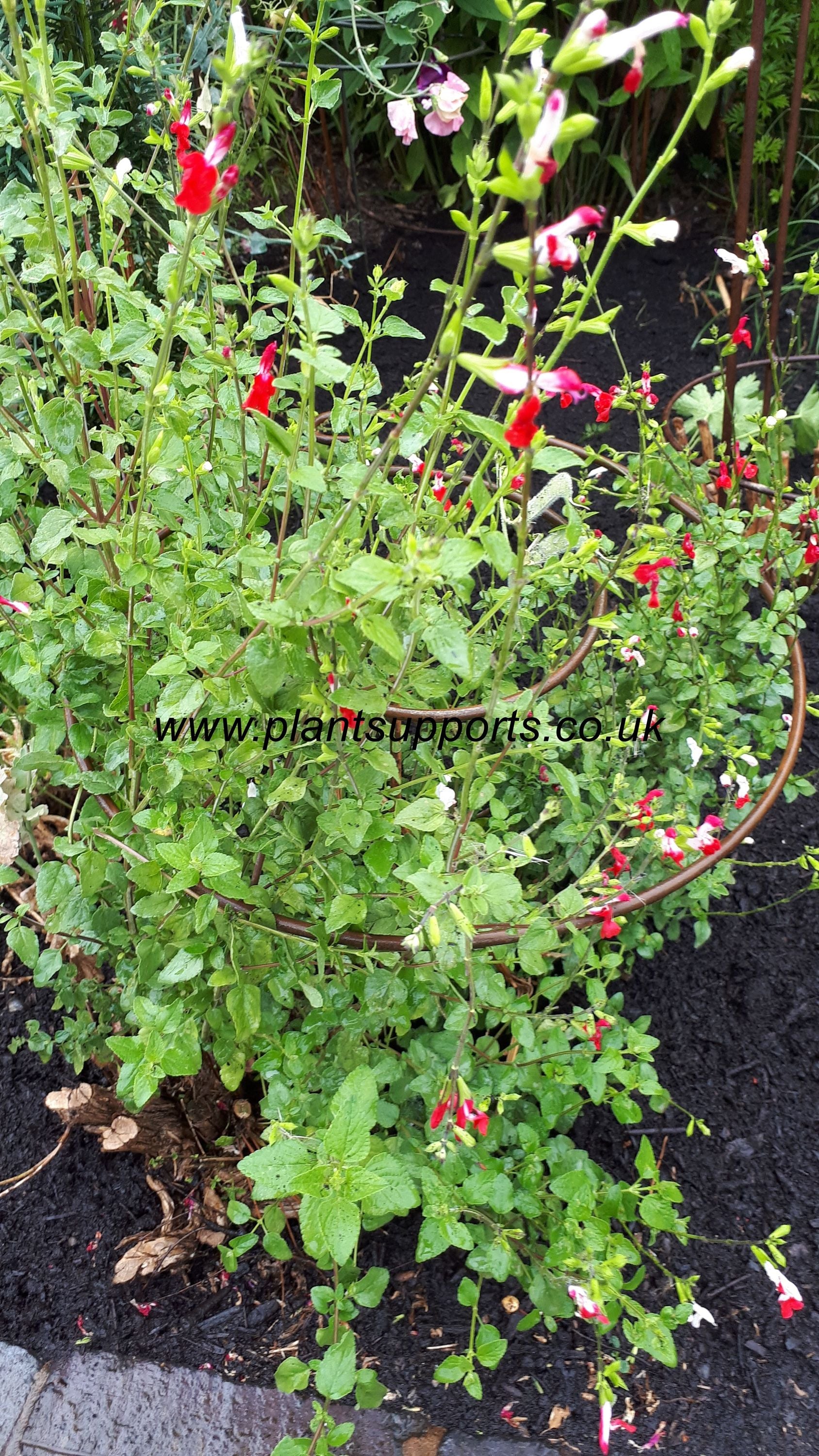 Pack of 3 Twist Easy's 44cm x 80cm A0036