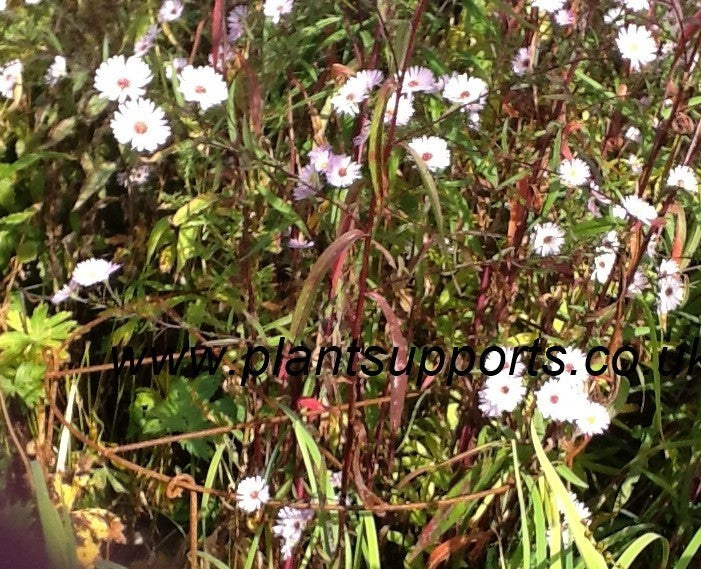 Grow Through (4 legs) 61cm x 94cm A0050- pack of 3