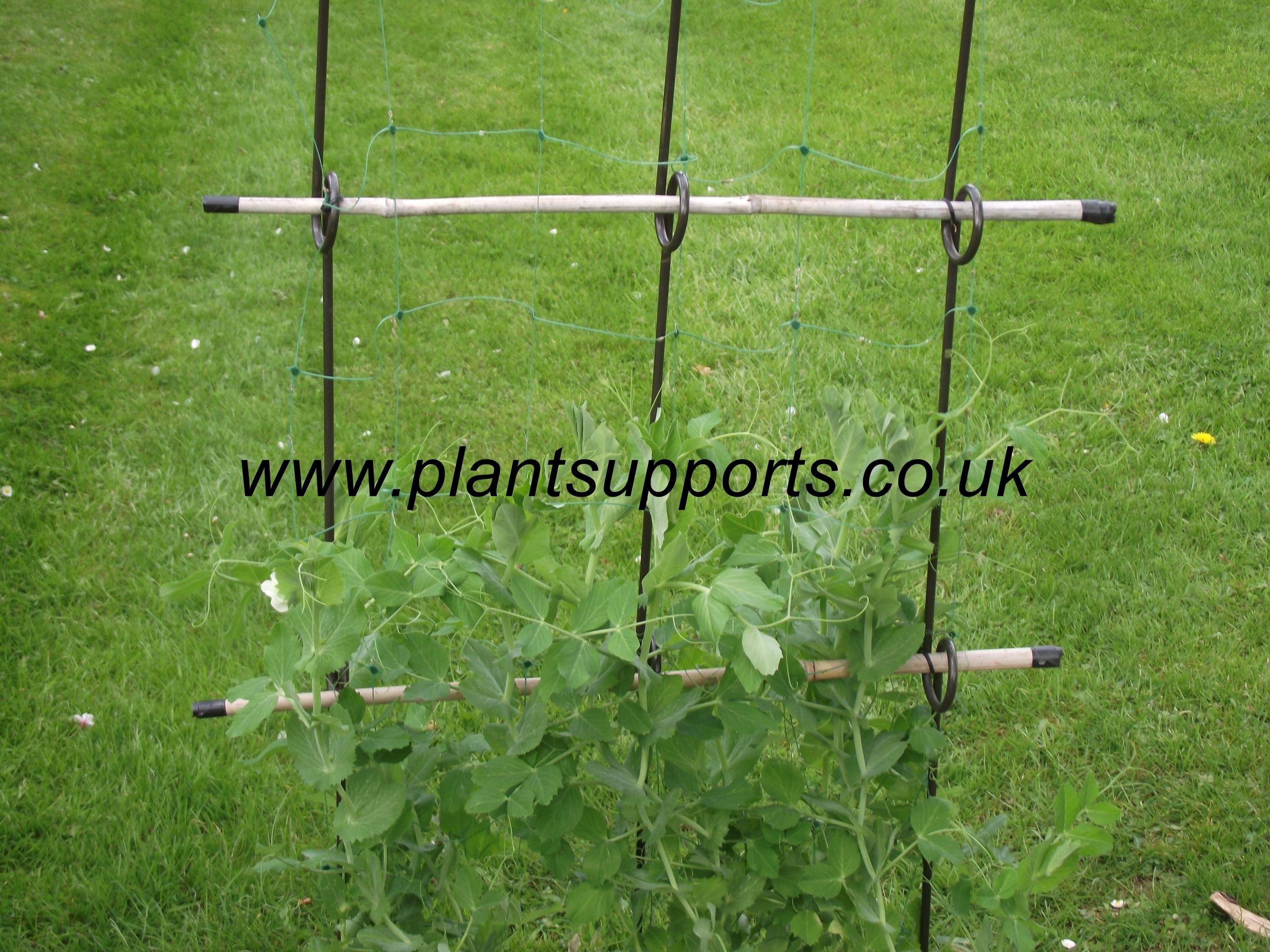 Pea Net Support Pack of 3 (112cm high) A0070