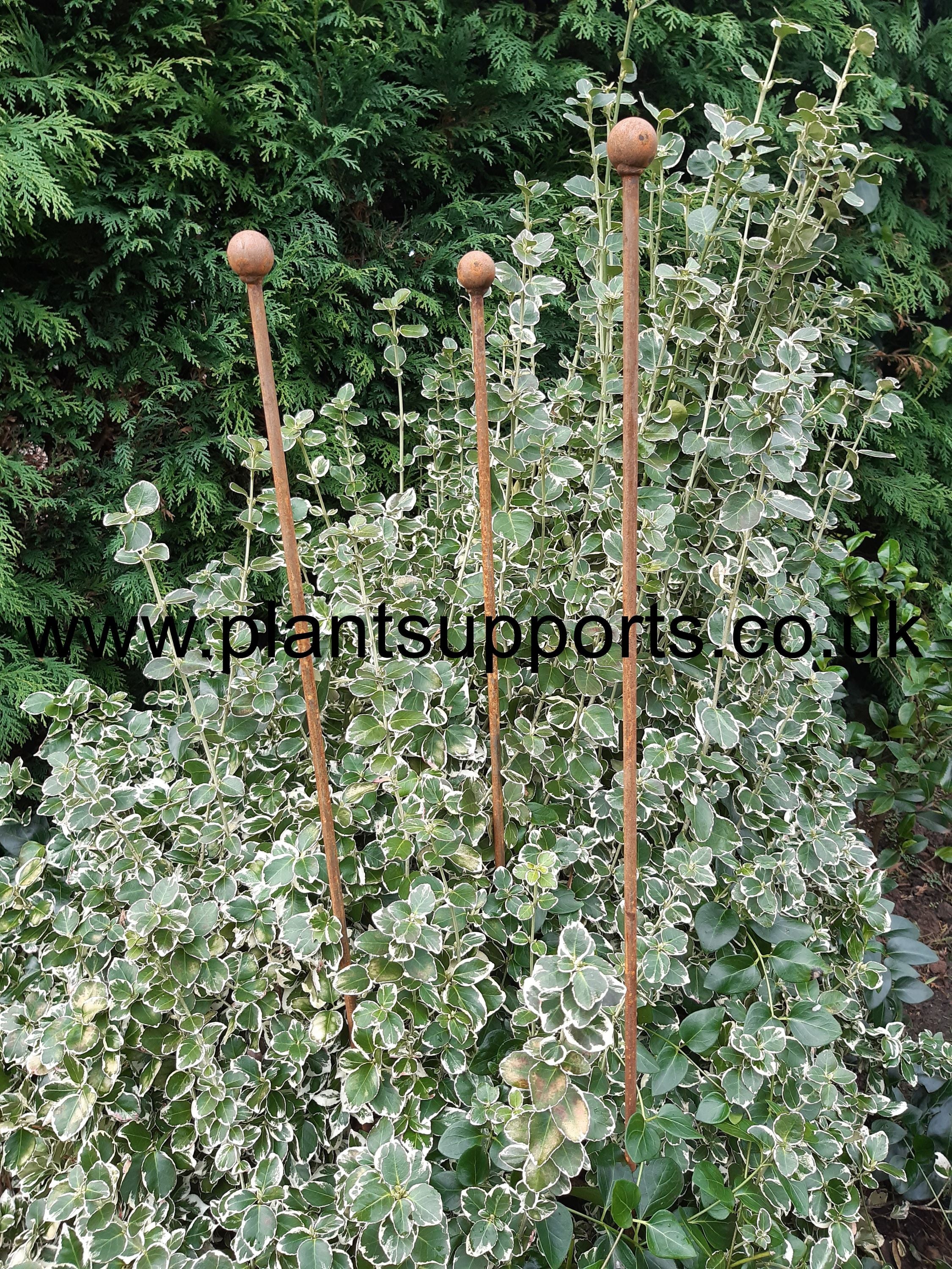 Iron plant Stake Pack of 3 117cm high A0077