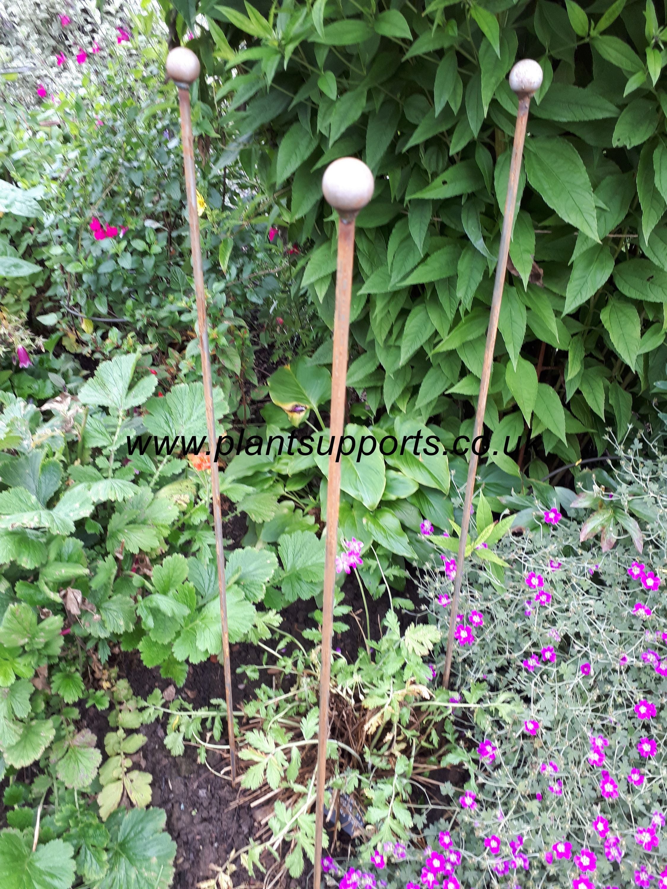 Iron plant Stake Pack of 3 117cm high A0077