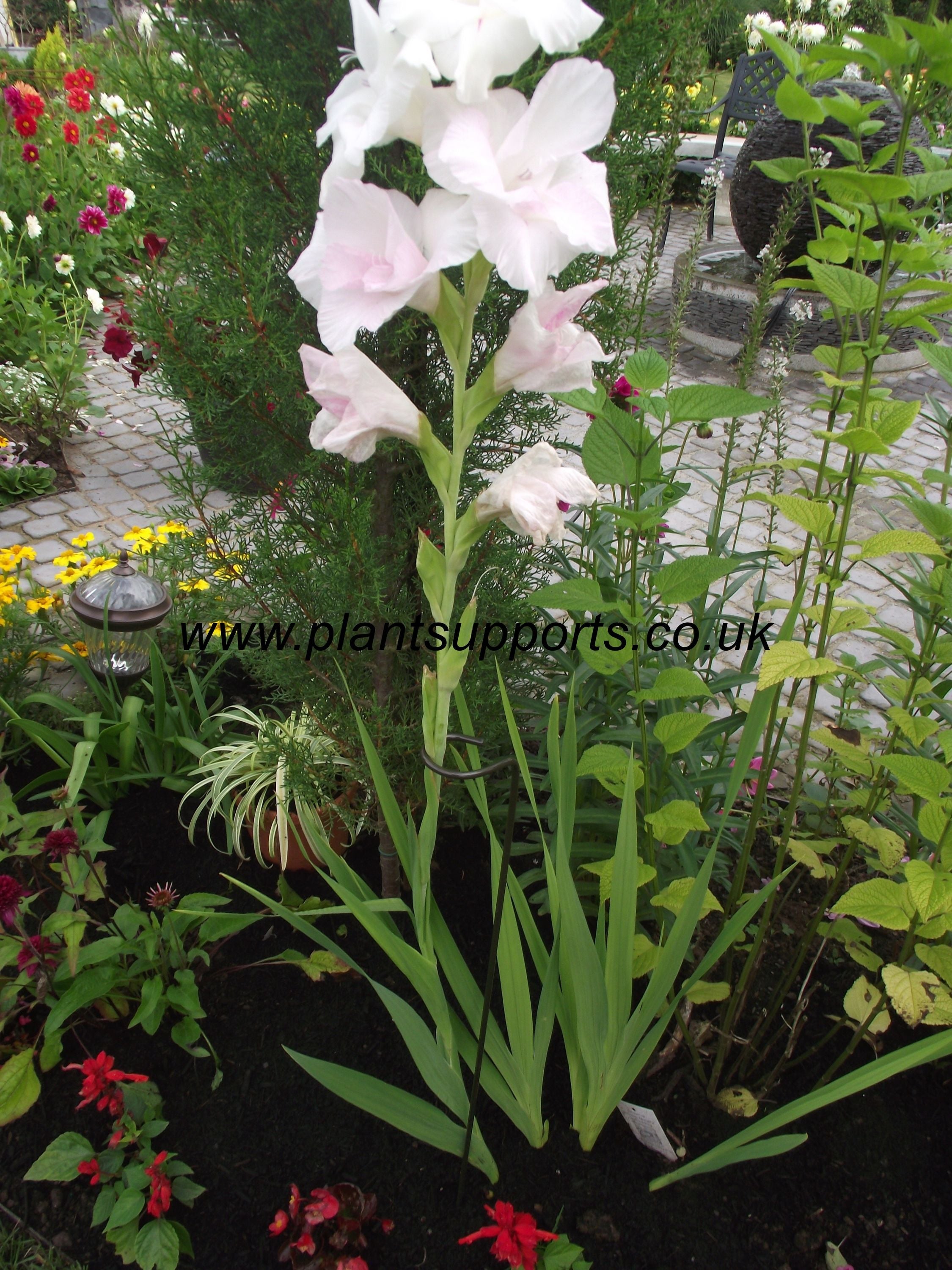 Loop pack of 4 - 6cm x 107cm A0084