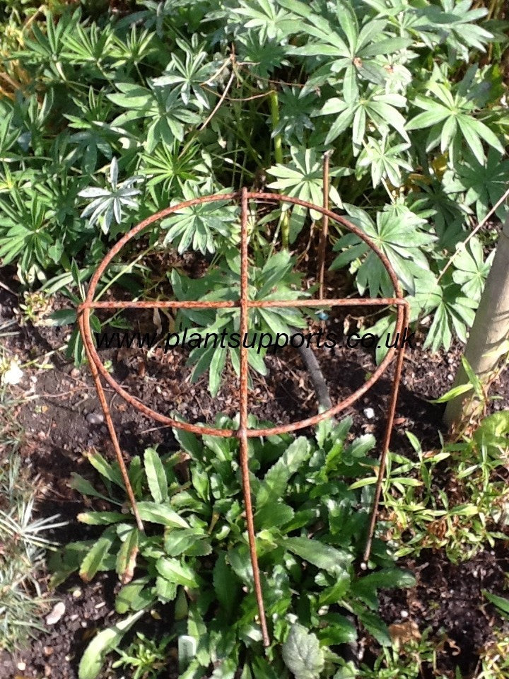 Grow Through (fixed Leg) Pack of 3 27cm x 61cm high A0085