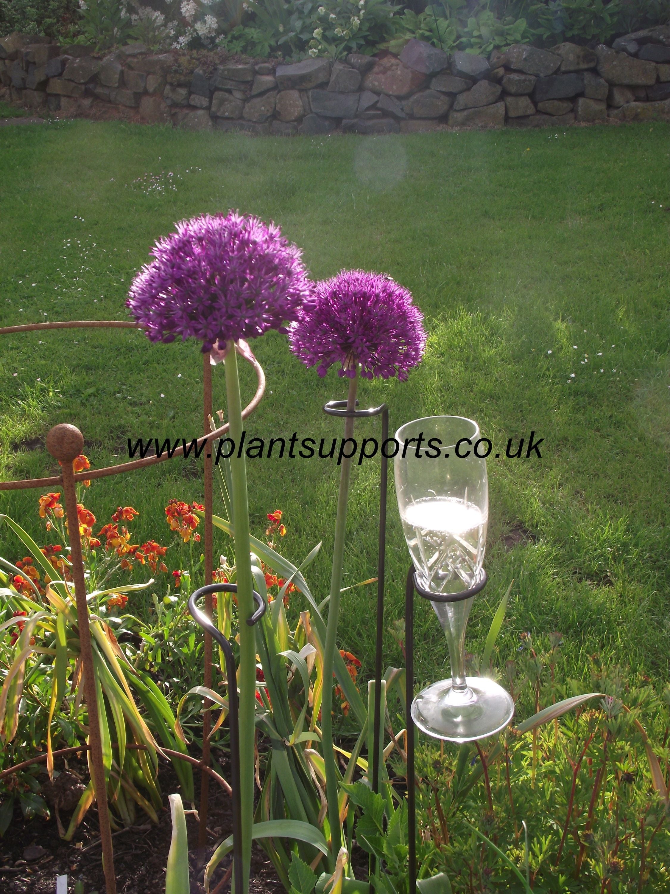 Loop Support Plant Loops and single stem Support – Plant Supports (UK) Ltd