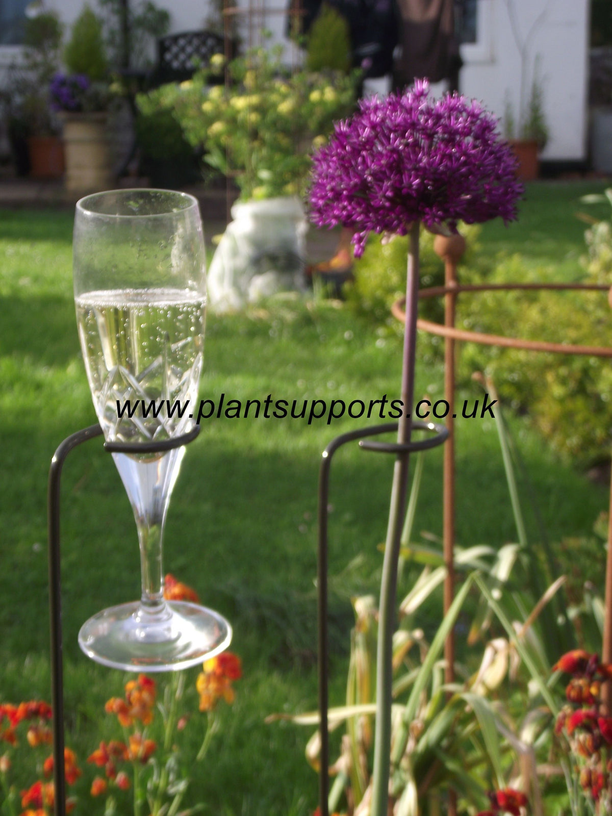 Loop Support Plant Loop Pack of 4 5cm x 89cm high A0086 – Plant Supports (UK) Ltd