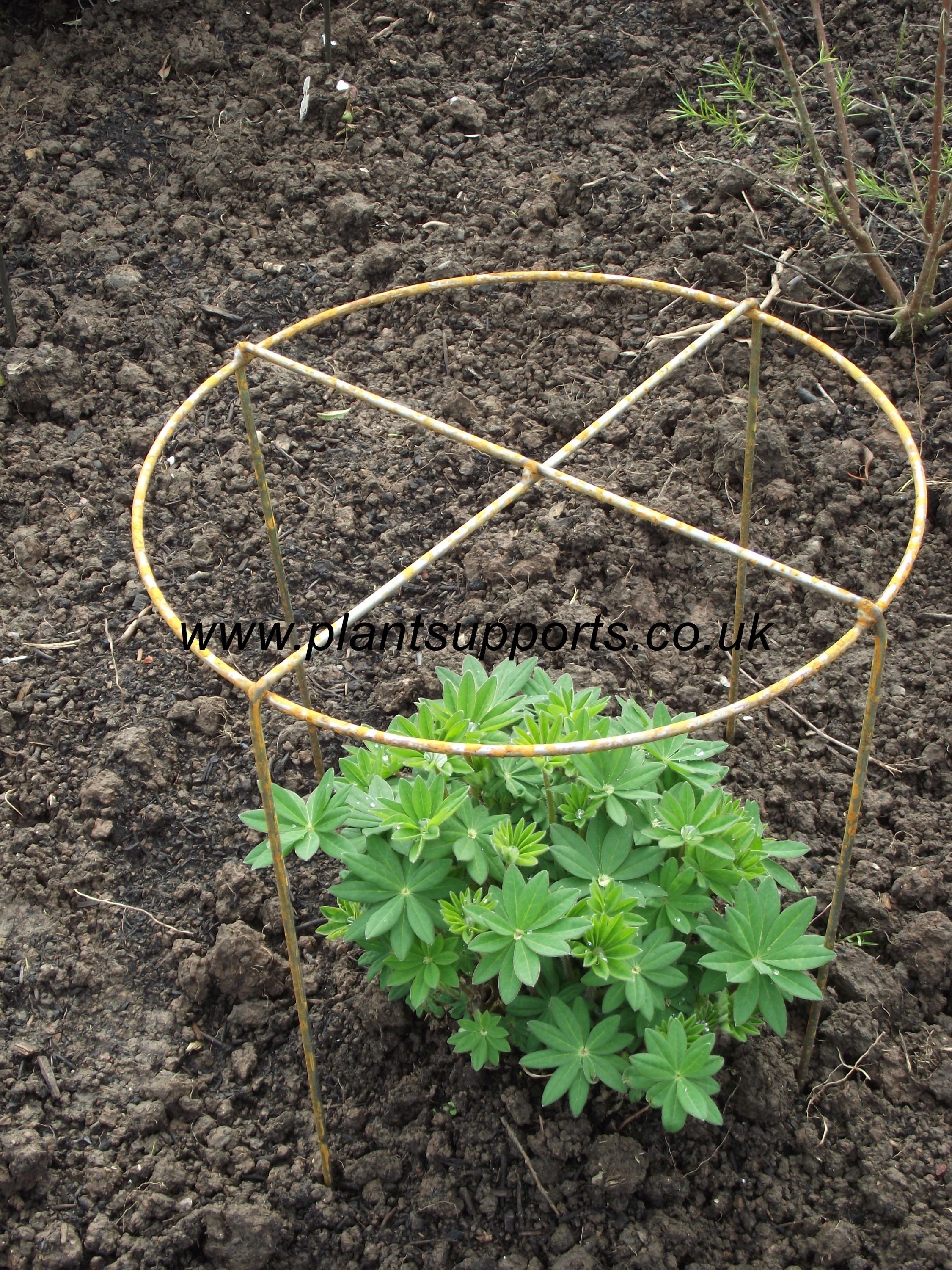 Grow Through (fixed leg) Pack of 10 37cm x 57cm A0087