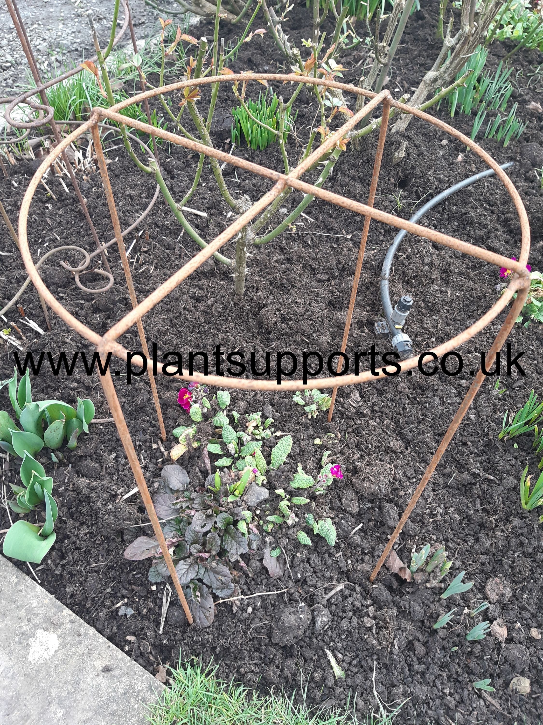 Grow Through (Fixed Leg) Tall 37cm x 69cm Pack of 10 A0087T