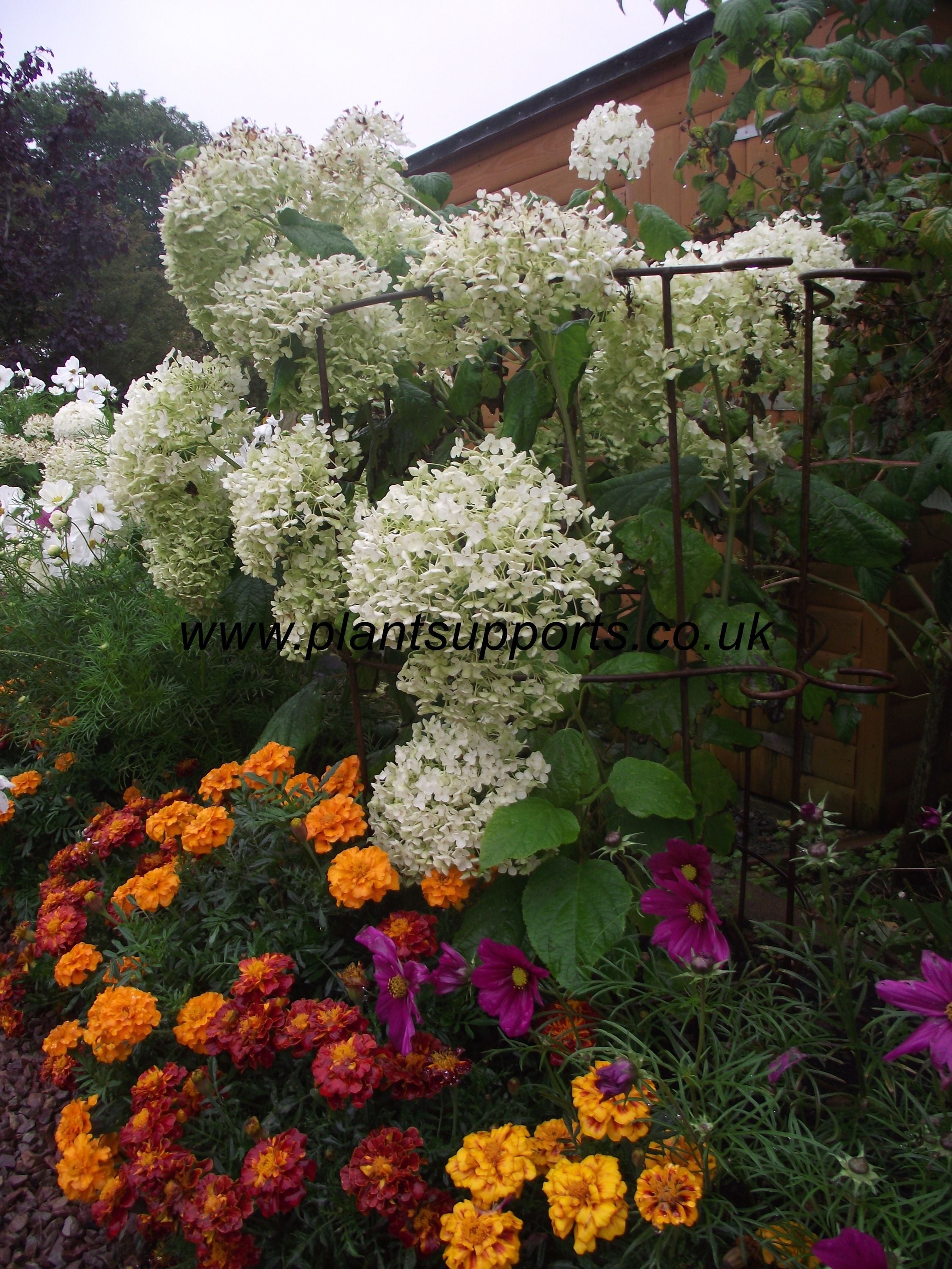 Pack of 2 Plant Girdle 43cm x 1.2m tall A0092