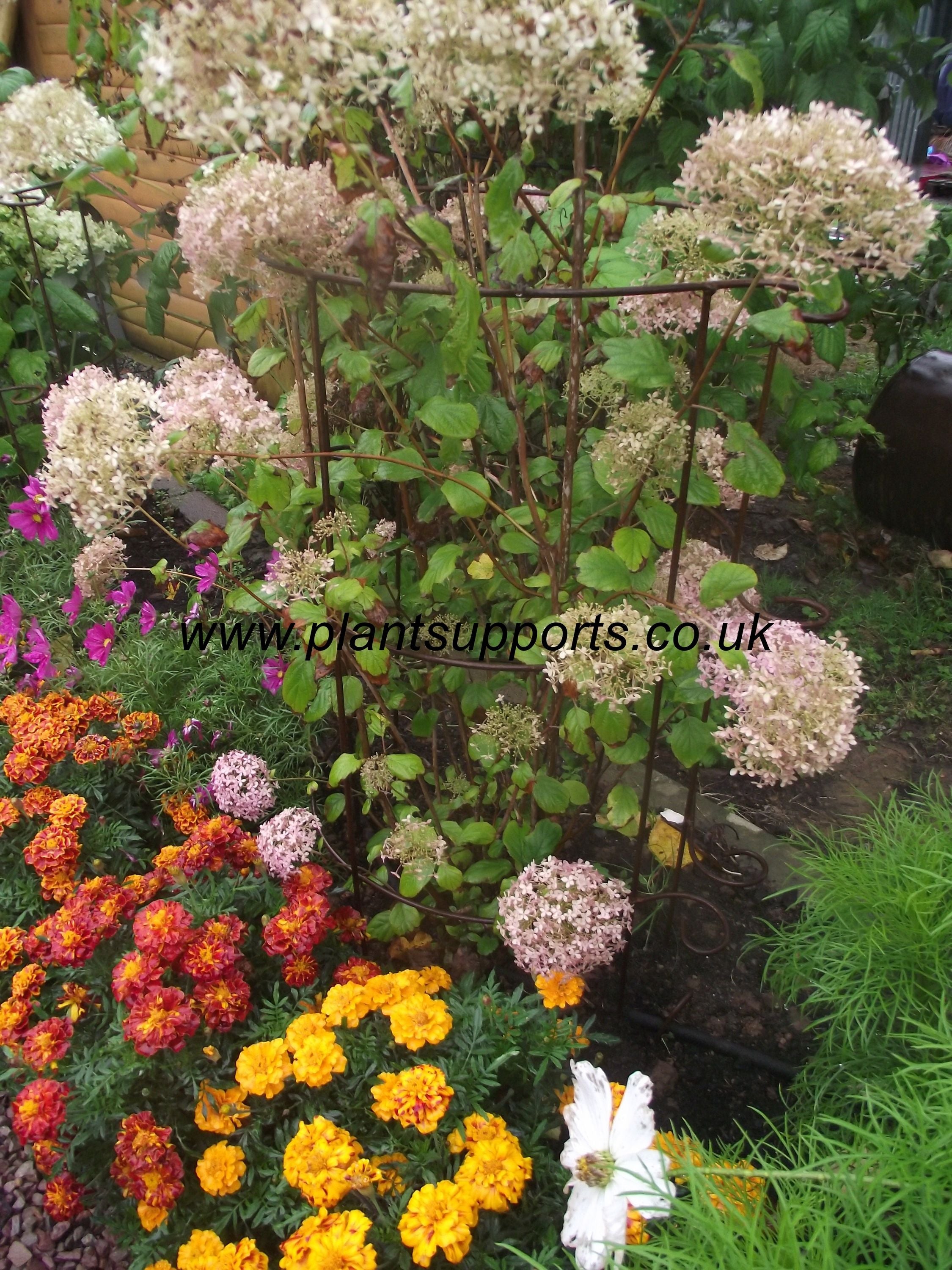 Pack of 2 Plant Girdle 43cm x 1.2m tall A0092