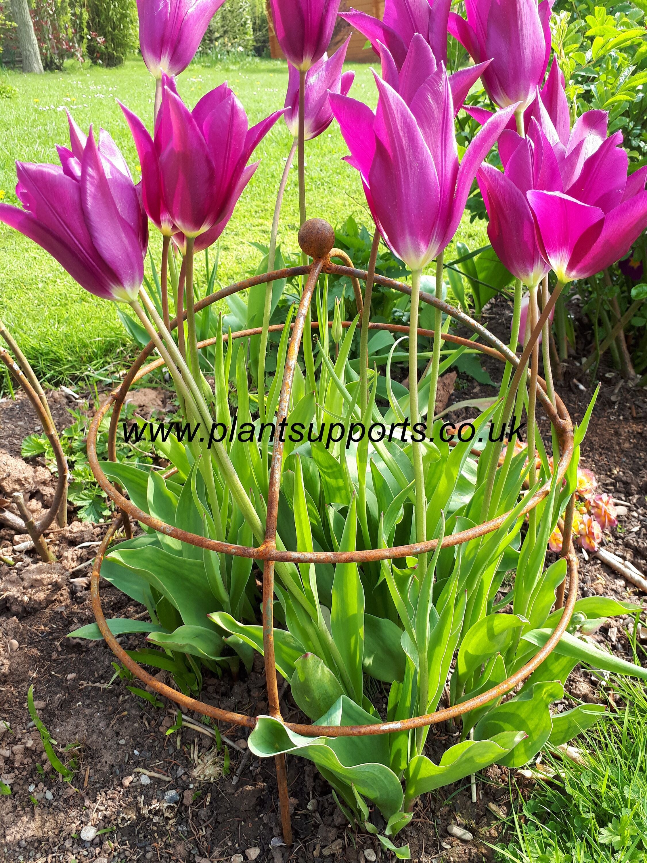 Small Dome 40cm x 43cm high Pack of 2 A0110