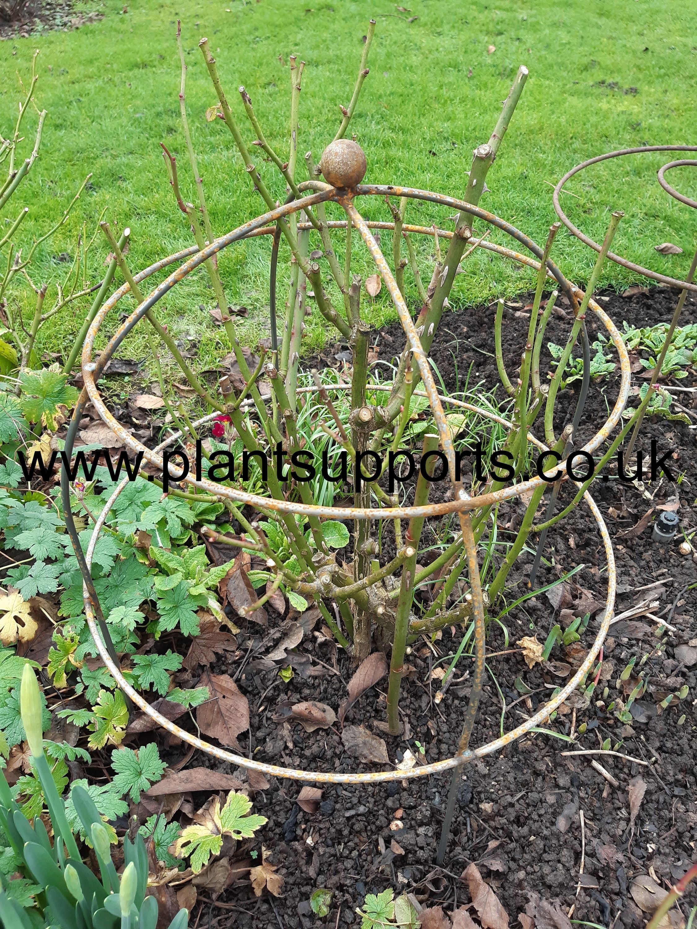 Medium Dome 50cm x 66cm high Pack of 2 A0111