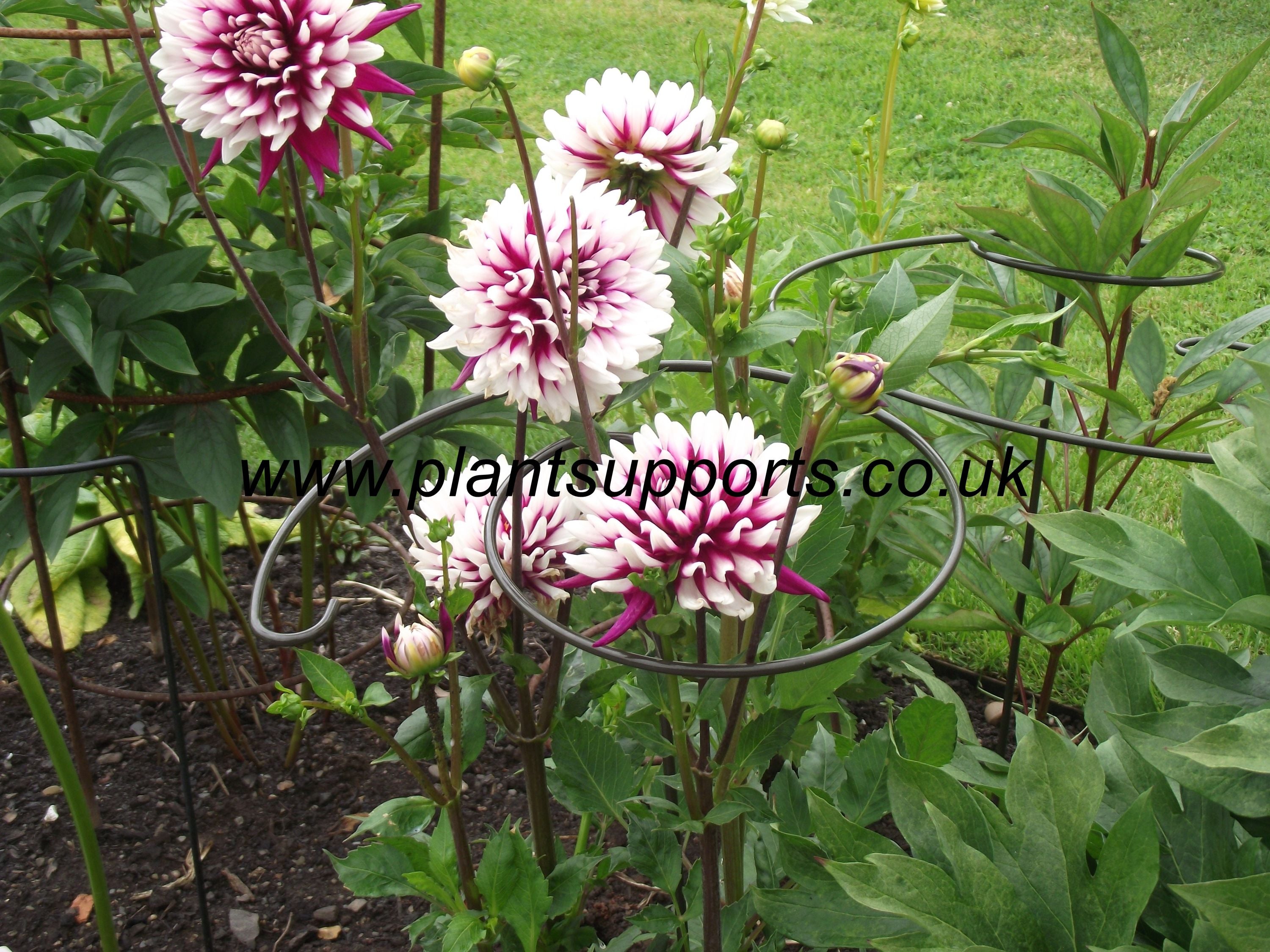 Pack of 3 Twist Easy's 36cm x 80cm A0032