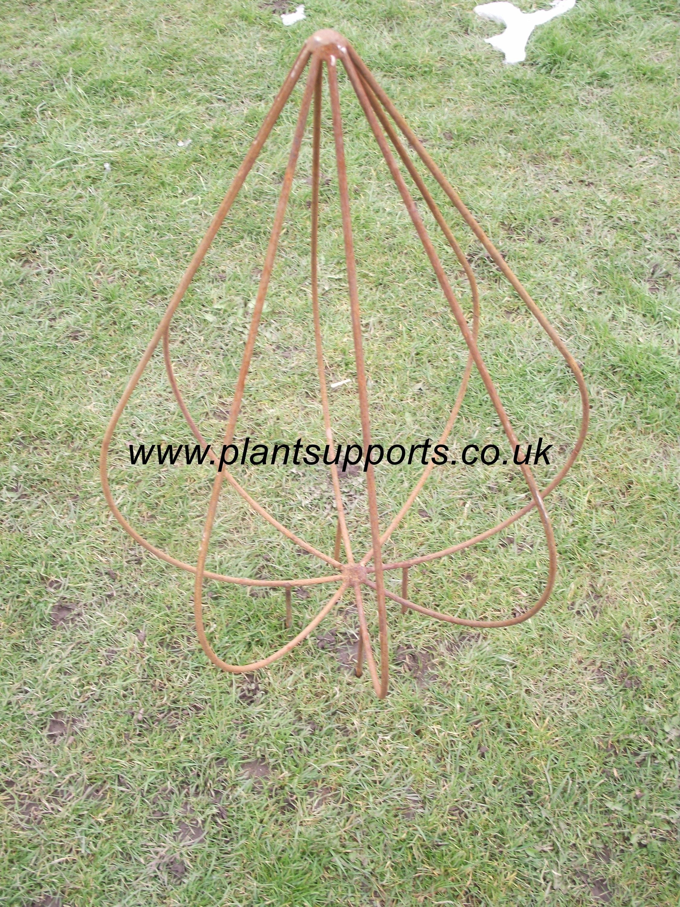 Clematis 'bud' Obelisk BUD01
