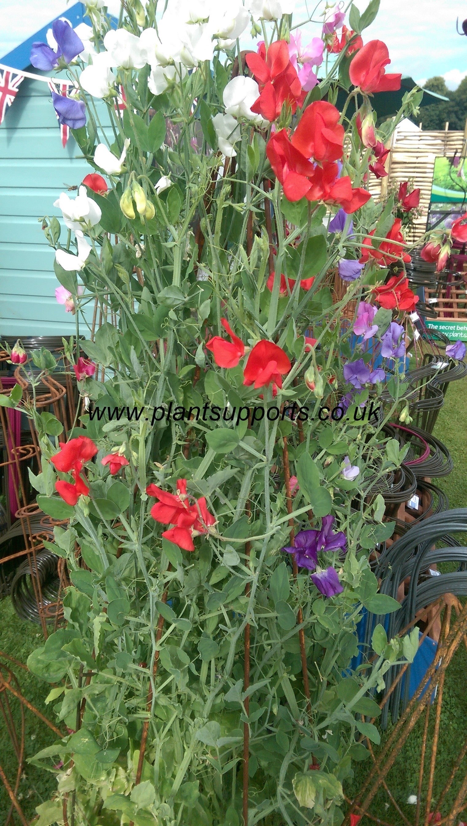 Tall 'Bud' Obelisk BUD05