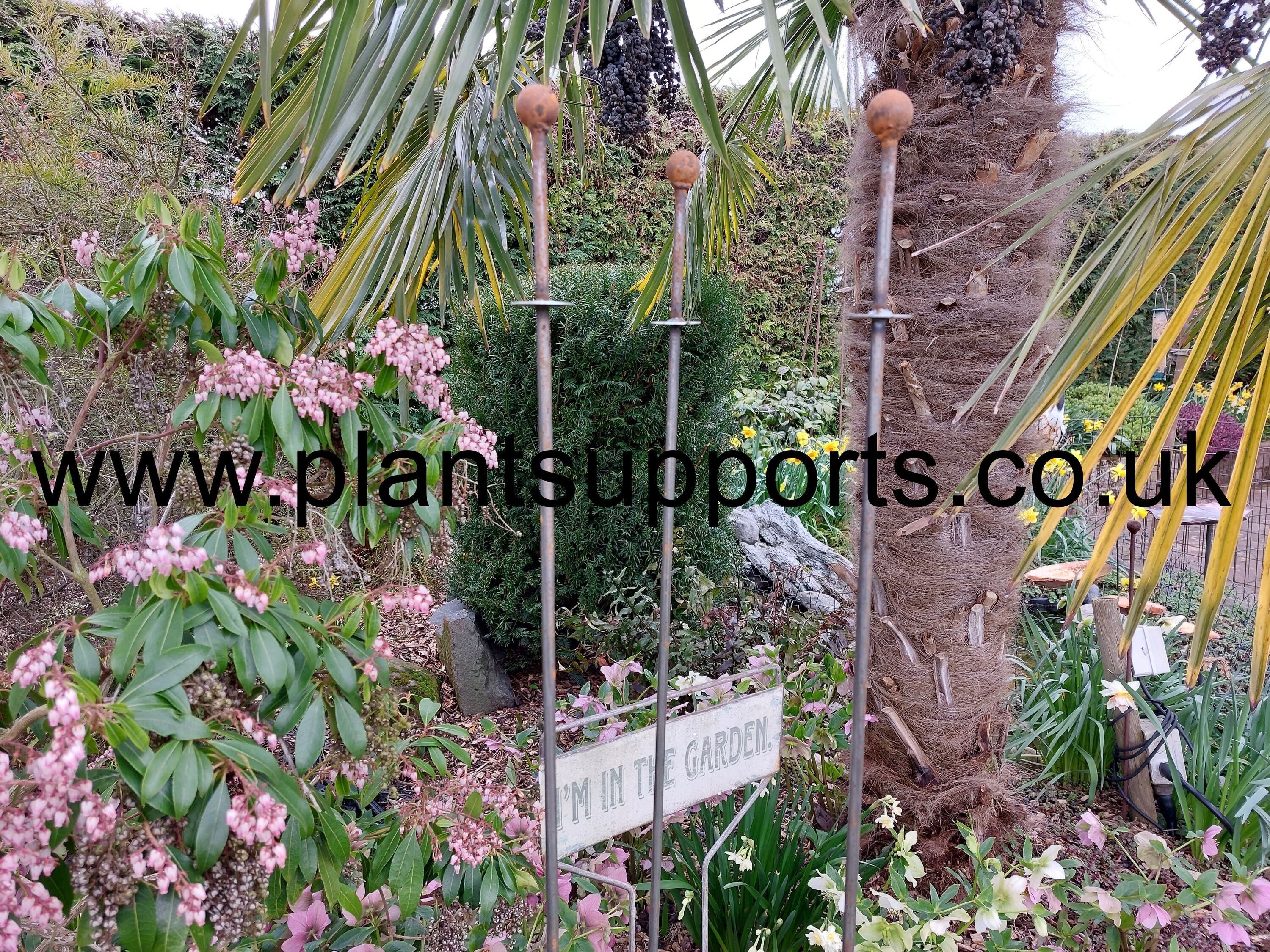 Tall Ball topped Iron Plant Stake with Lip pack of 3 A0054A