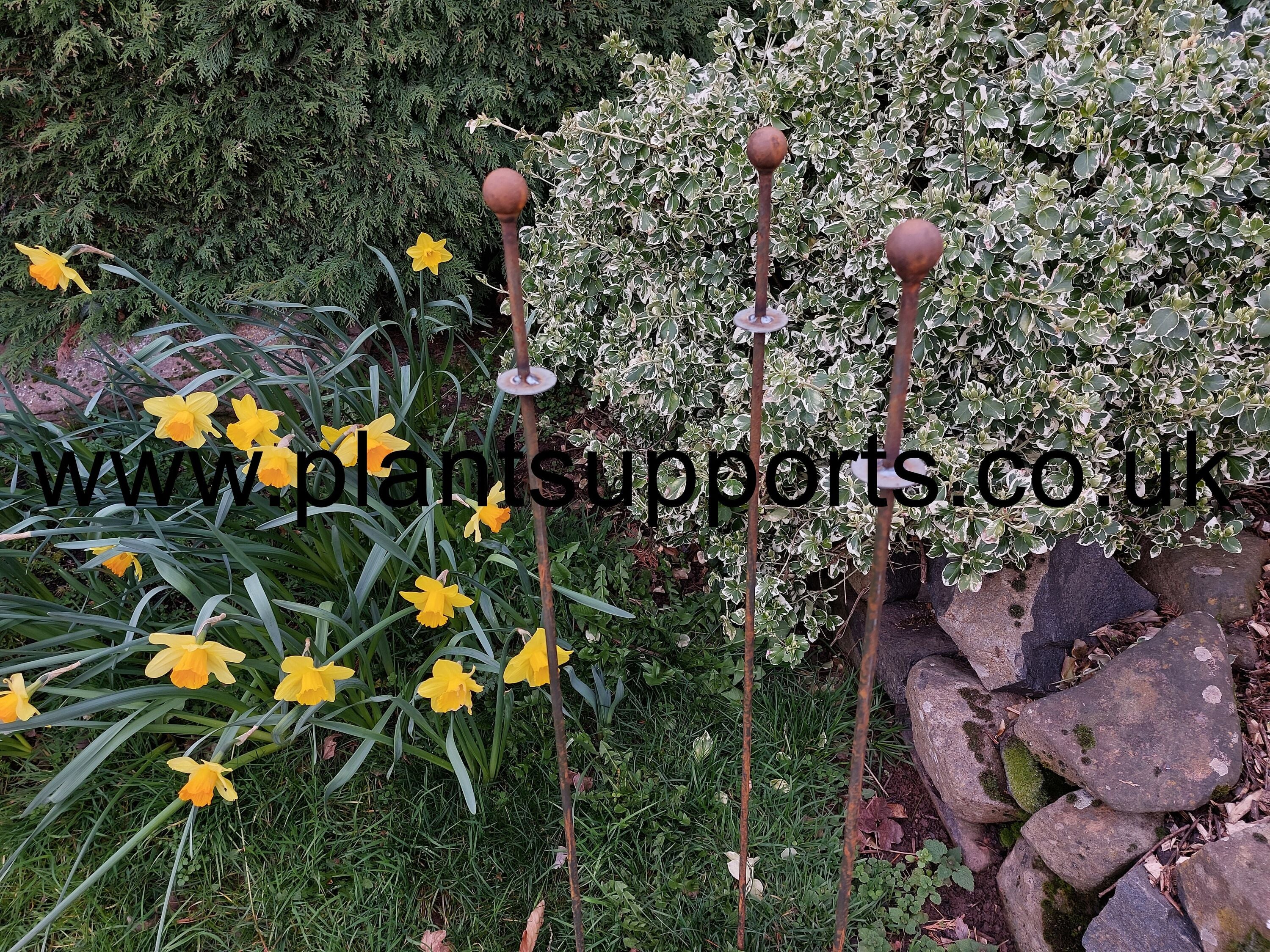Ball topped Iron Plant Stake with Lip pack of 3 A0077A