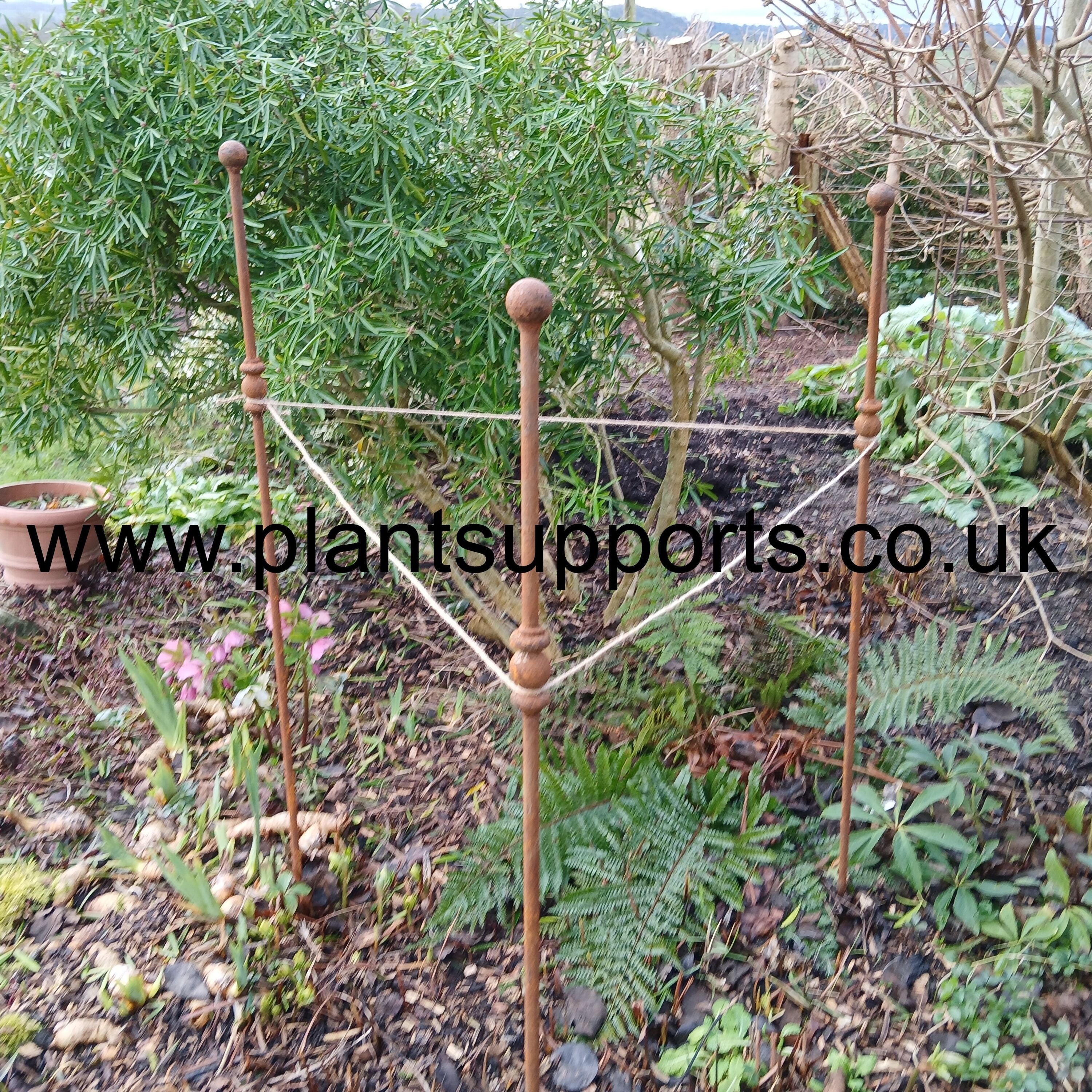 NEW 12mm bar Ball topped stake pack of 3 120cm high with Collar A0073