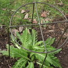 Grow Through Plant Support - - Plant Supports